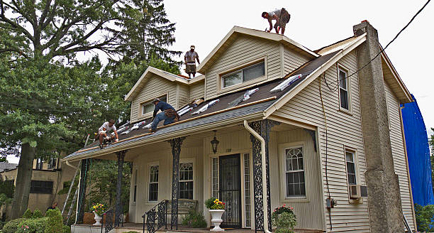 Best Flat Roof Repair Services  in La Salle, CO